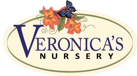 Veronica's Nursery